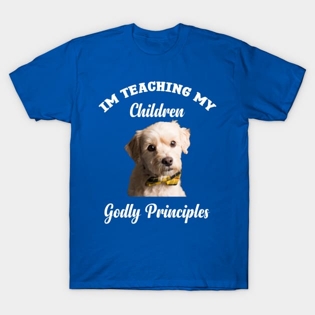 I'm  TEACHING PRINCIPLES T-Shirt by Jackies FEC Store